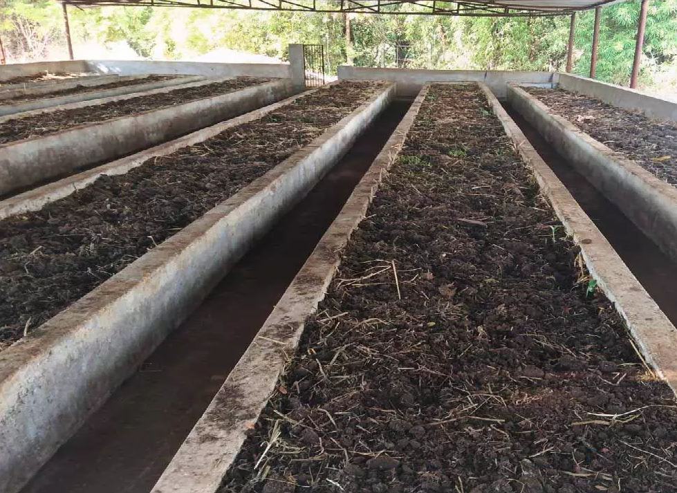 CG : वर्मी कंपोस्ट उत्पादन बनी आत्मनिर्भरता की मिसाल …