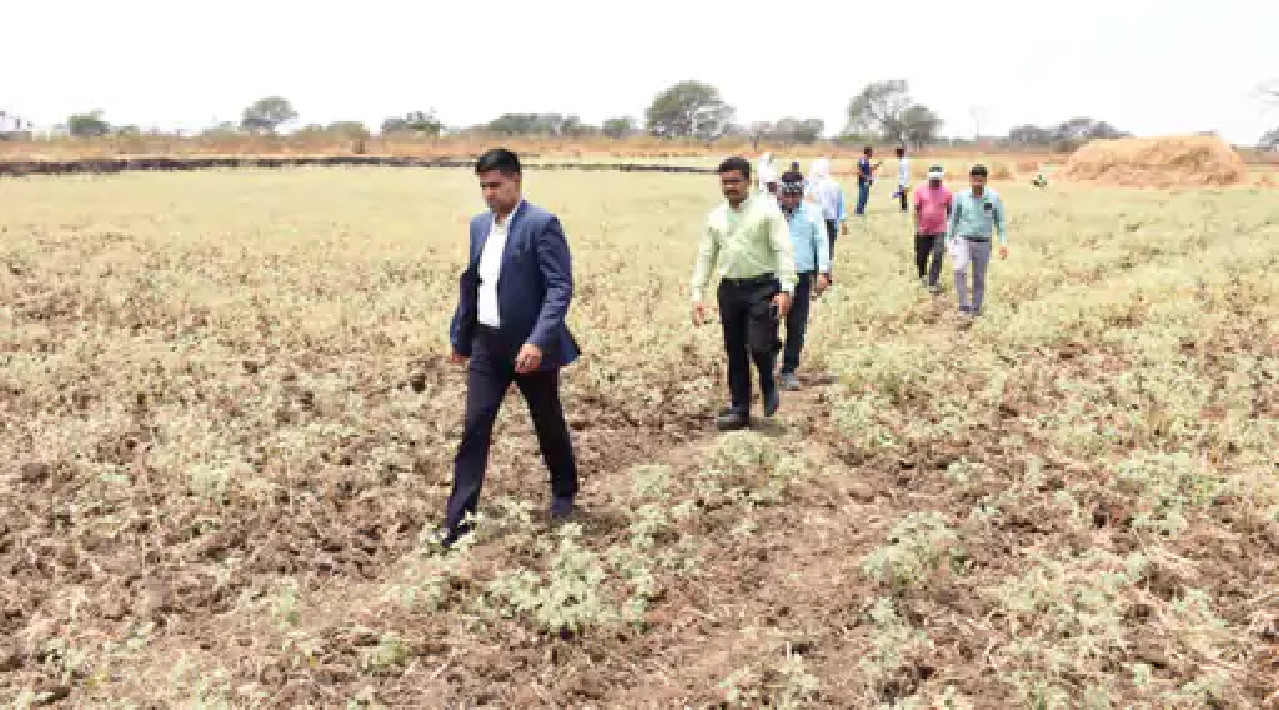 राजनांदगांव : कलेक्टर ने कन्हारपुरी में सीमांकन कार्य का लिया जायजा…