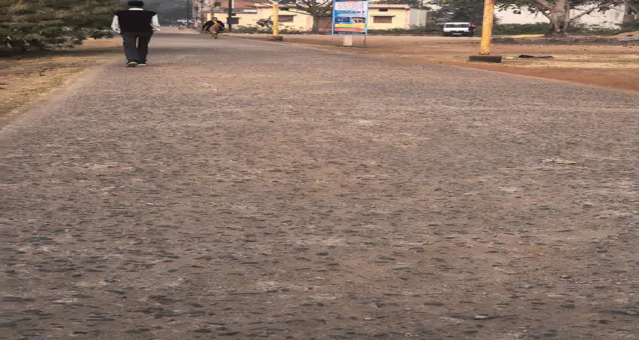 राजनांदगांव : पुष्पवाटिका रोड अब उखड़ चुकी, मरम्मत की जरूरत…