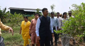 CG : पाम ऑयल खेती को बढ़ावा, कलेक्टर ने कृषि विज्ञान केंद्र में दिए विस्तार के निर्देश…