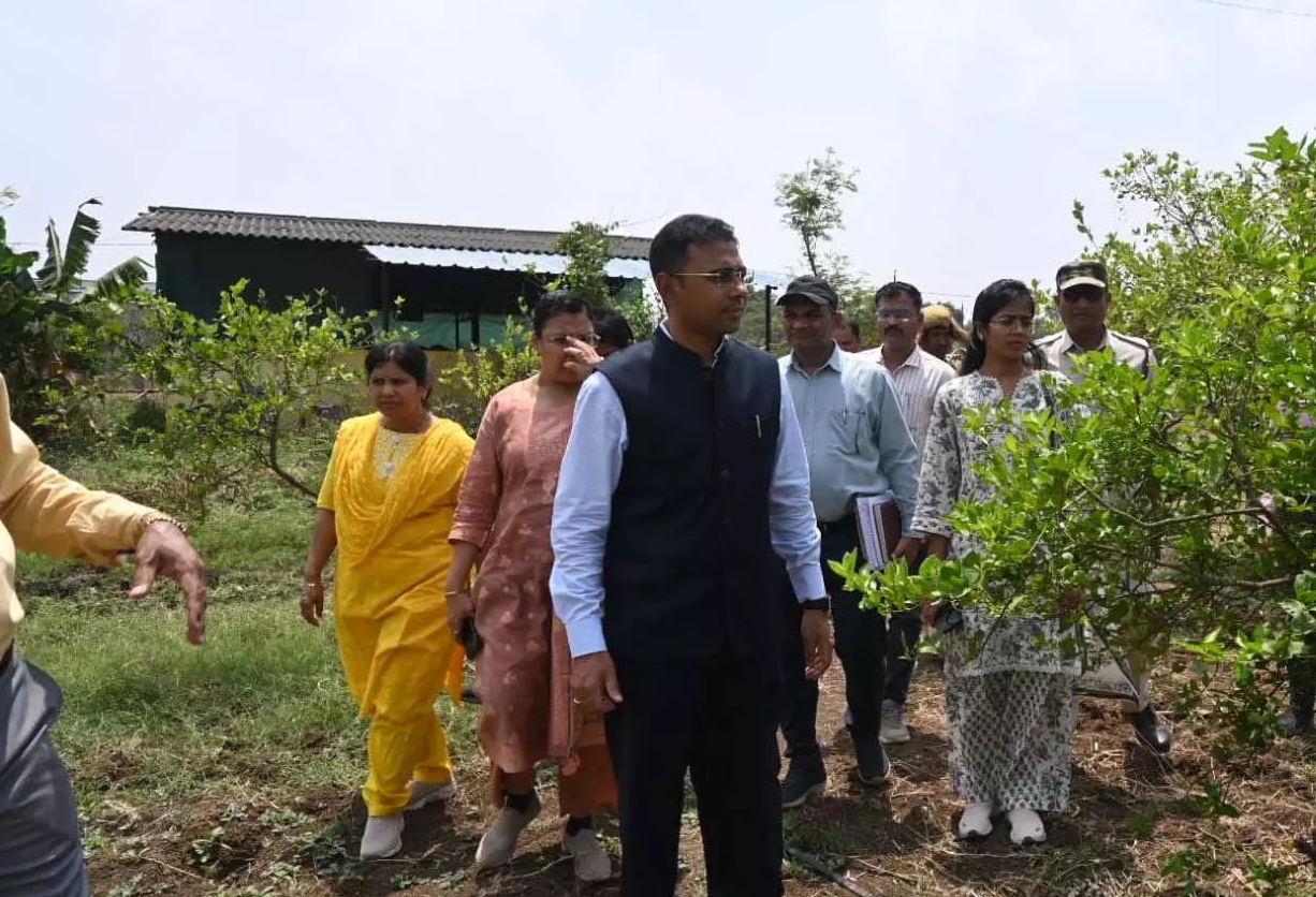 CG : पाम ऑयल खेती को बढ़ावा, कलेक्टर ने कृषि विज्ञान केंद्र में दिए विस्तार के निर्देश…