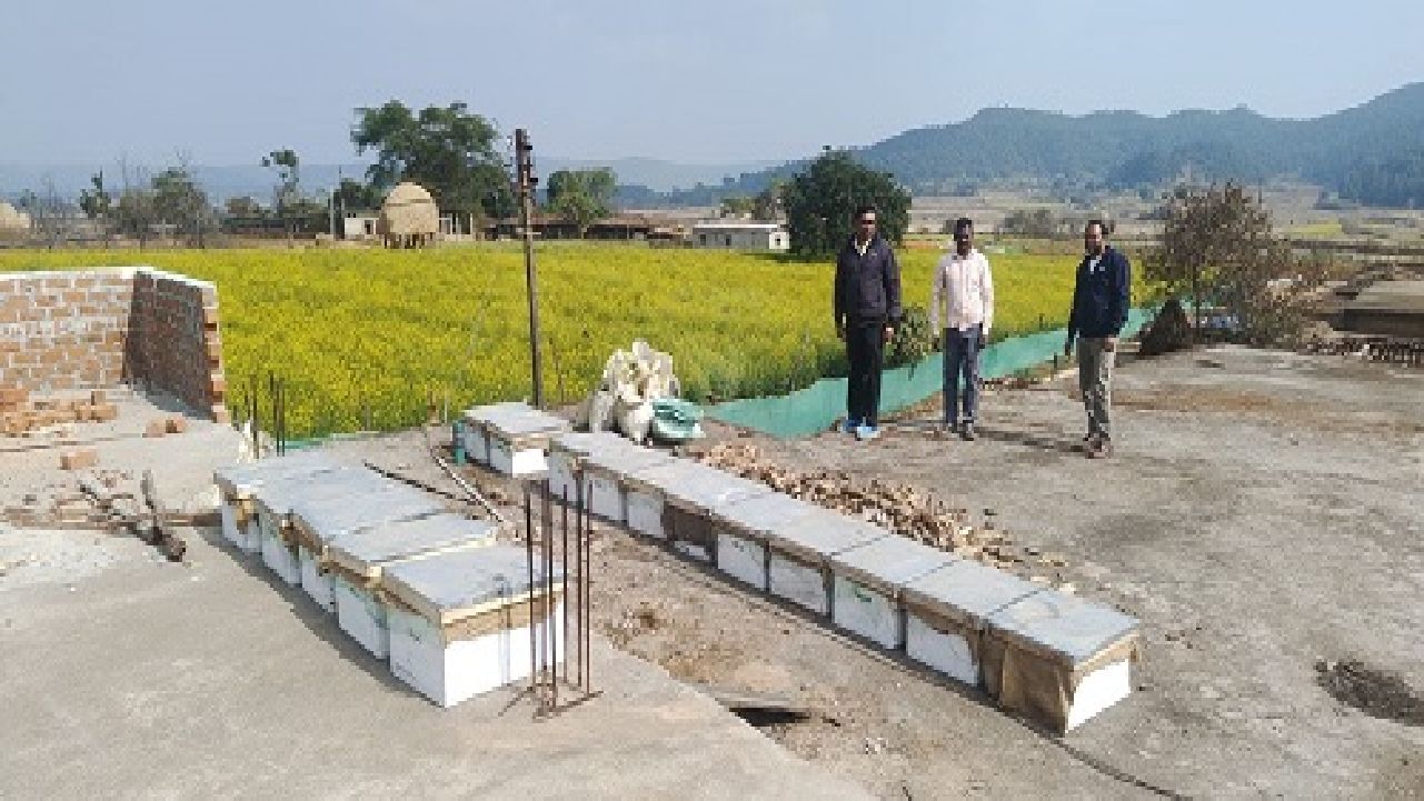 CG : किसानों के लिए मधुमक्खी पालन कम लागत में ज्यादा मुनाफा…