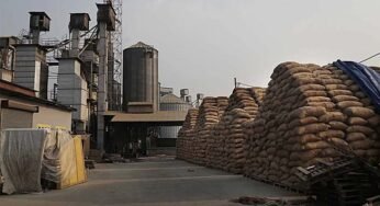 प्रदेश के राइस मिल उद्योग पर गंभीर वित्तीय संकट, 700 मिलें हो चुकीं बंद!