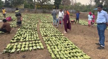 हरा सोना संग्राहकों की आय बढ़ाने के लिए बड़ा कदम, 920 करोड़ रुपए का होगा संभावित भुगतान