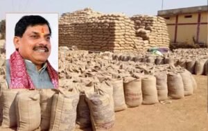 समर्थन मूल्य पर गेहूं उपार्जन का लक्ष्य बढ़ाने भारत सरकार से चर्चा जारी: मुख्यमंत्री डॉ. यादव