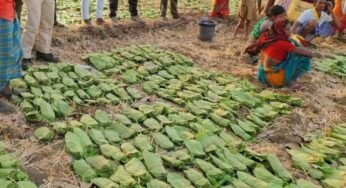 बालोद : मई के पहले सप्ताह से शुरू होगा तेंदुपत्ता संग्रहण का कार्य