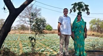 रायपुर : कुआं बना जीवन में बदलाव की वजह, अब सालभर खेती