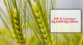 अनूपपुर जिले में गेहूँ उपार्जन 15 अप्रैल से प्रारंभ, 6 केंद्र निर्धारित