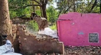 बड़े तालाब के किनारे अवैध निर्माण पर बड़ा एक्शन, 347 बंगलों पर चला बुलडोजर