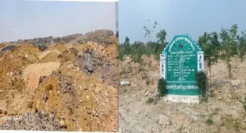 रायपुर : बंजर डंप क्षेत्र से हरा-भरा जंगल बनने की ओर गेवरा की अनूठी पहल