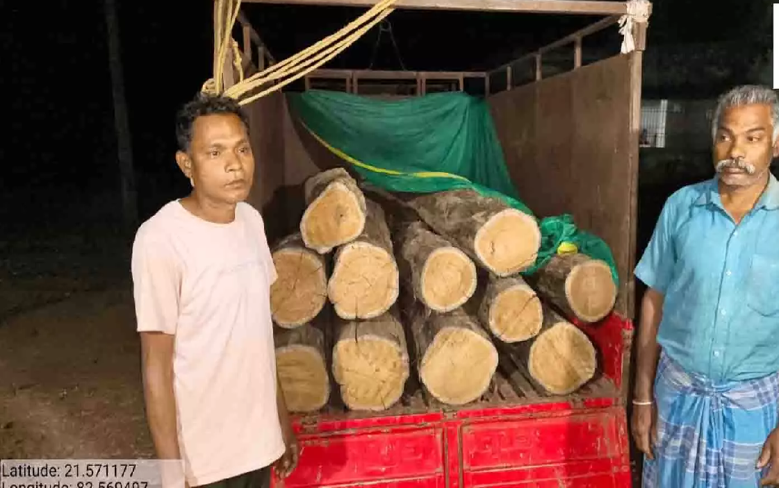 CG : अवैध सागौन परिवहन पर वन विभाग की बड़ी कार्रवाई, वाहन सहित लकड़ी जब्त …