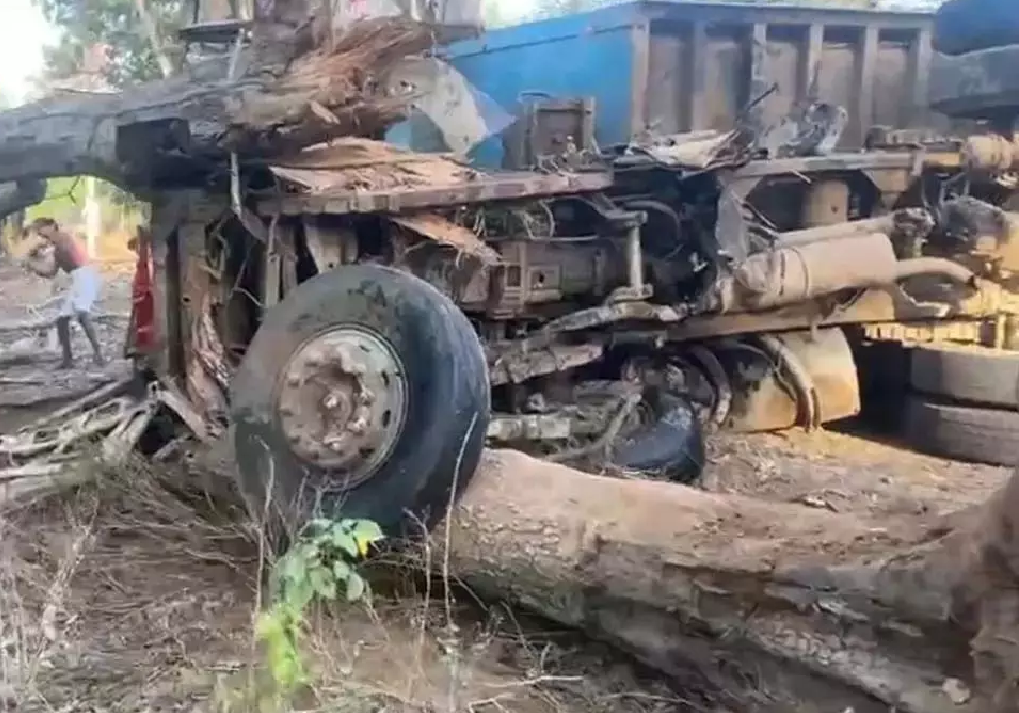 CG : ट्रेलर से पेड़ गिरा, हाईटेंशन लाइन भी क्षतिग्रस्त …