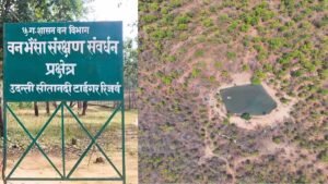 उदंती सीतानदी टाइगर रिजर्व में ‘फायर-वॉटर’ मॉडल का कमाल, 750 जल स्रोत और हाईटेक निगरानी से जंगल सुरक्षित