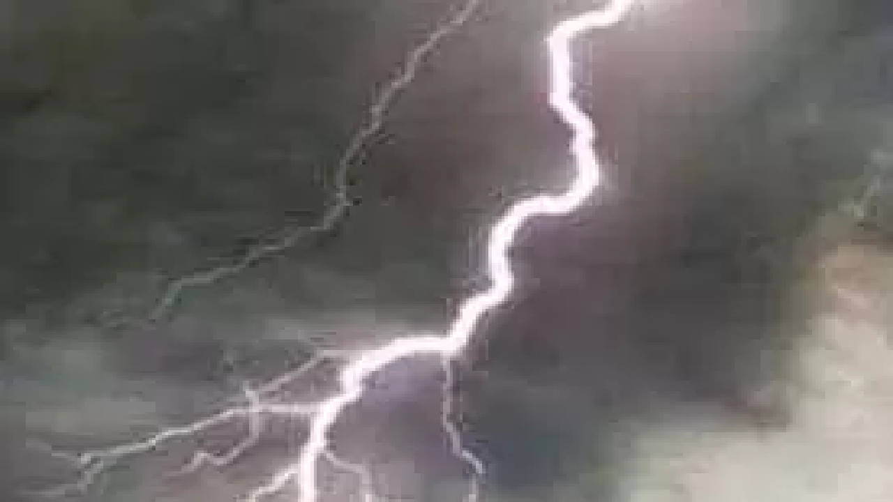 CG : गाज गिरने से 9 मवेशियों की मौत …