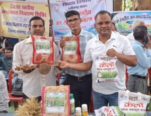 लैलूंगा की पहचान बना ‘केलो’ जैविक जंवाफूल चावल