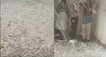 ग्वालियर में मौसम का यू-टर्न: धूप के बाद ओलों की मार, ‘बर्फबारी’ जैसे नजारे से सहमा शहर