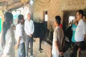 पशुओं में नस्ल सुधार का कार्य बेहतर ढंग से करें : प्रमुख सचिव  उमराव