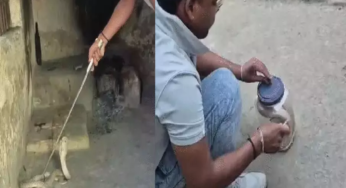 CG : कोबरा सांप घुसा स्कूल में, डरे शिक्षक …