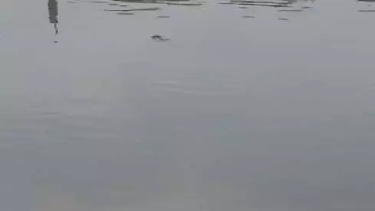 CG : खदान के कर्मचारी की लाश तालाब में मिली …