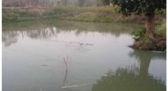 डबरी, मछली पालन और बहुफसली खेती से बदली तकदीर—सगनू बने गांव के प्रेरणास्रोत