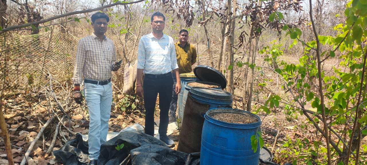 मोहला : जंगल में अवैध महुआ शराब और लाहन बरामद, अज्ञात के खिलाफ मामला दर्ज