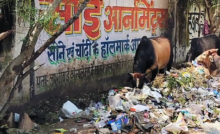 राजनांदगांव : वीआईपी रोड में सड़क किनारे में ही दुकानदार फेंक रहे कचरा, सफाई हो…