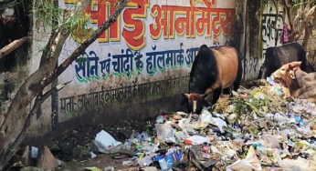 राजनांदगांव : वीआईपी रोड में सड़क किनारे में ही दुकानदार फेंक रहे कचरा, सफाई हो…
