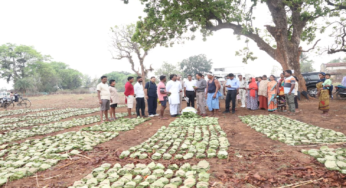 CG : ’तेन्दूपत्ता संग्रहण में छत्तीसगढ़ ने बनाया नया रिकॉर्ड, अब तक 13.52 लाख मानक बोरा संग्रहित’