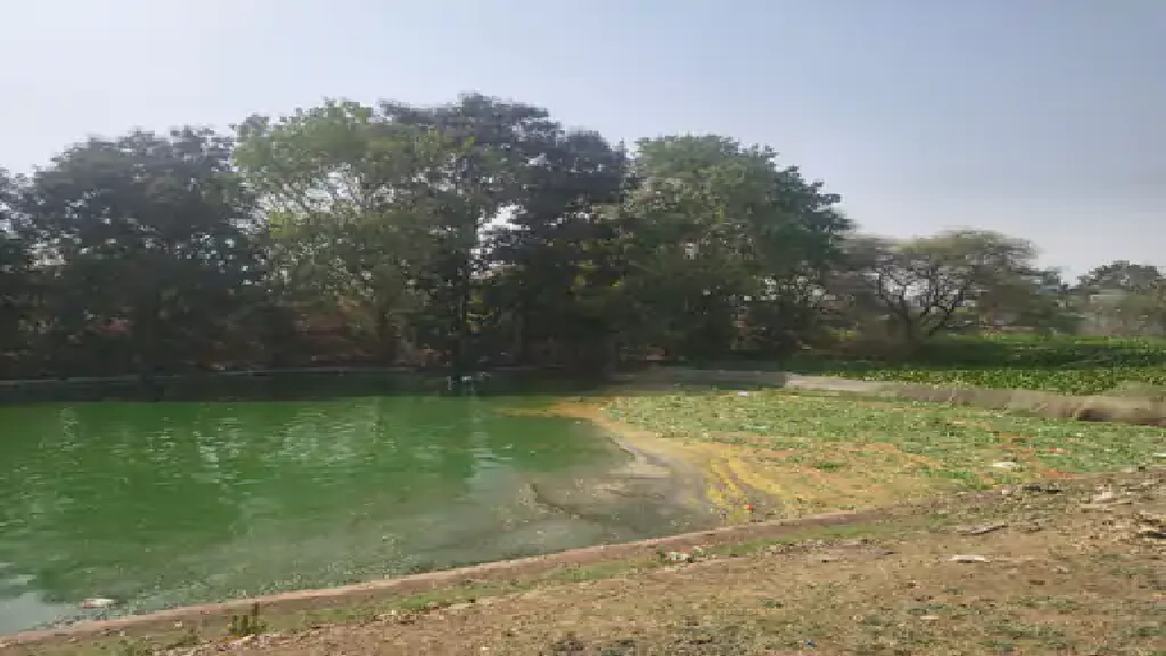 राजनांदगांव : पुष्पवाटिका के तालाब में गंदगी फैलती जा रही, सफाई होनी चाहिए…