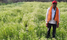 CG : धनिया की खेती से किसान की बढ़ी आय