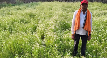 CG : धनिया की खेती से किसान की बढ़ी आय