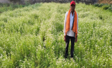 CG : राष्ट्रीय बागवानी मिशन अंतर्गत धनिया की खेती से किसान रतिराम की बढ़ी आय
