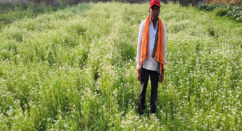 CG : राष्ट्रीय बागवानी मिशन अंतर्गत धनिया की खेती से किसान रतिराम की बढ़ी आय