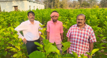 CG : सिल्क समग्र-2 योजना से धमतरी के ग्रामीणों को मिल रहा आत्मनिर्भरता का नया आधार