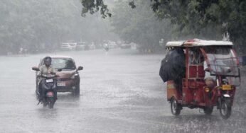 एमपी के 17 जिलों में बारिश और ओले का अलर्ट, भोपाल में आंधी से पेड़ उखड़े; 4 मई तक रहेगा ऐसा मौसम