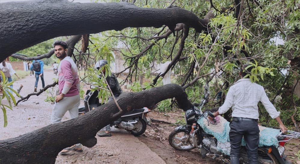MP Weather Update: ग्वालियर-मुरैना में बारिश, 6 जिलों में लू और आंधी-ओलों का अलर्ट