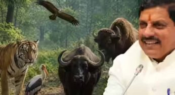 मध्य प्रदेश बना वन्यजीव संरक्षण का मॉडल, कूनो से वैश्विक पहचान