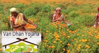 नारी शक्ति वंदन: वन धन केन्द्रों से आत्मनिर्भर बन रहीं जनजातीय वर्ग की महिलाएं