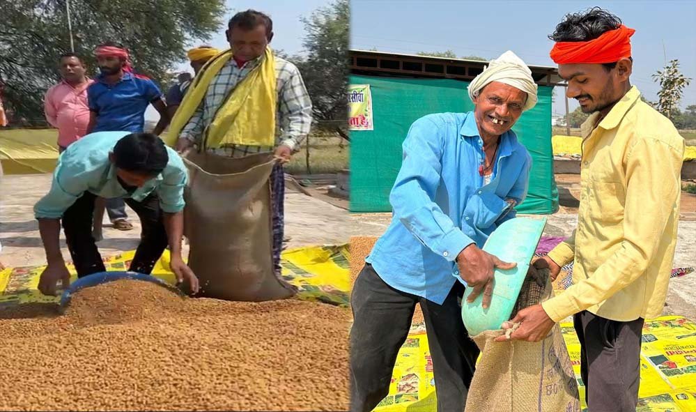 धमतरी का गौरव: विश्व की सबसे बड़ी अनाज भंडारण योजना में बनाया कीर्तिमान, प्रदेश के कुल चने का 50% अकेले खरीदा