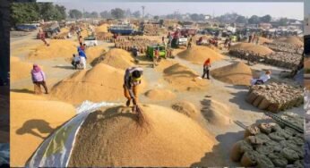 मंडियों में धान की रिकॉर्डतोड़ आवक, पिछले साल के आंकड़े हुए ध्वस्त
