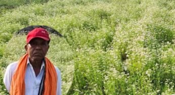 महासमुंद के किसान रतिराम की बदली किस्मत, धनिया की खेती से बढ़ी आमदनी