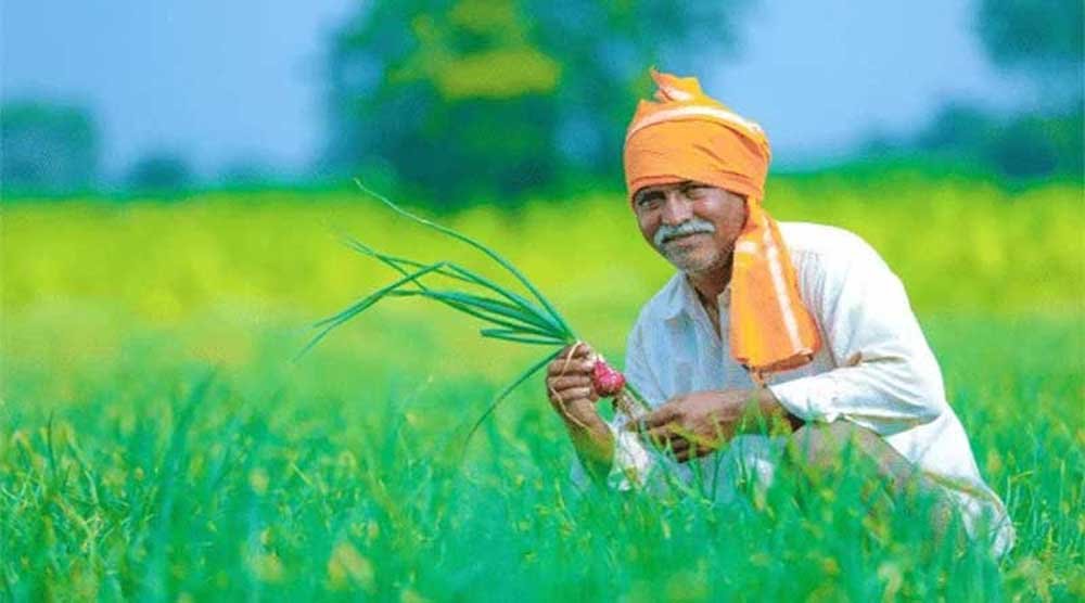 बदलती खेती में नैनो यूरिया और नैनो डीएपी बन रहे किसानों की नई पसंद