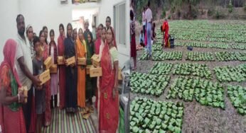 तेन्दूपत्ता से बदली जिंदगी, बढ़ी आय और सम्मान बढ़ी आय और सम्मान