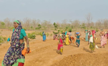 CG : मनरेगा से रोजगार और जल संरक्षण का लक्ष्य एक साथ हो रहा पूरा …