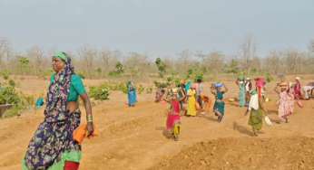 CG : मनरेगा से रोजगार और जल संरक्षण का लक्ष्य एक साथ हो रहा पूरा …