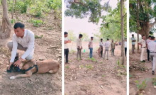 CG : डॉग रूबी ने कुछ घंटो में युवक की हत्या को सुलझाया …