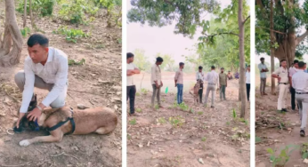 CG : डॉग रूबी ने कुछ घंटो में युवक की हत्या को सुलझाया …