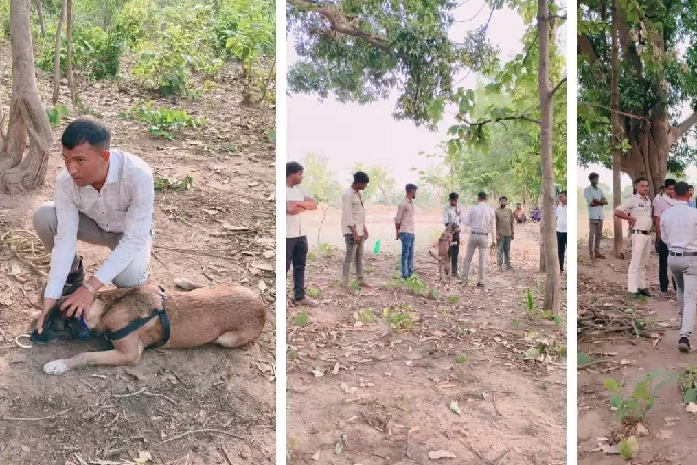 CG : डॉग रूबी ने कुछ घंटो में युवक की हत्या को सुलझाया …