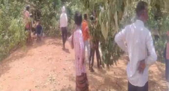 CG : गरियाबंद में 7 लोग घायल, सुशासन तिहार में हादसा …