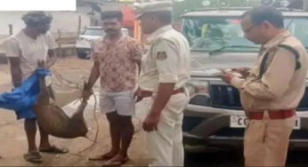 CG : रायगढ़ में वन्य प्राणी को कुत्तों ने नोचा, मौत …